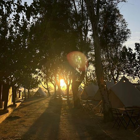 Camping Delta Natura La Tancada Amposta Luaran gambar