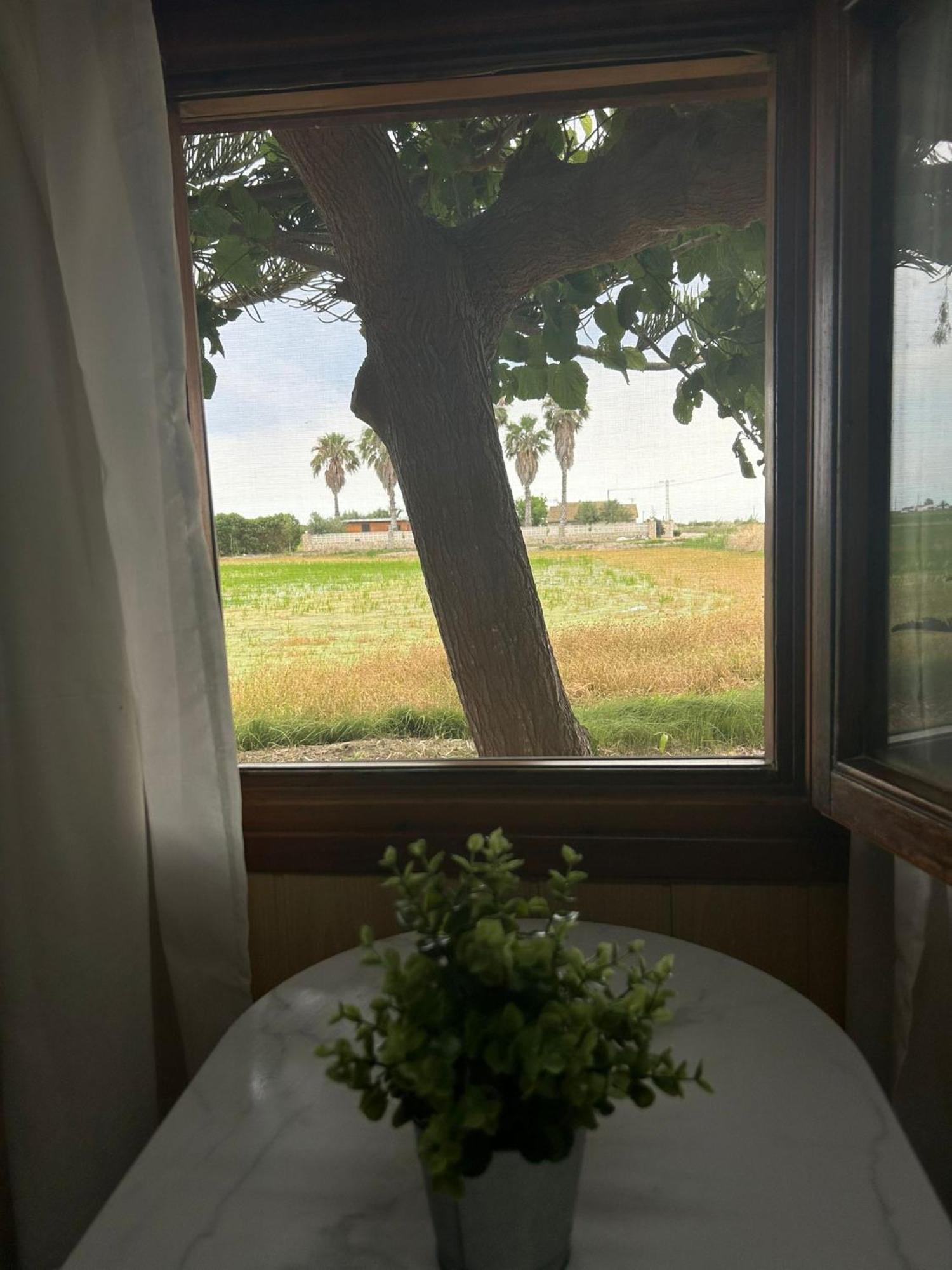 Camping Delta Natura La Tancada Amposta Luaran gambar